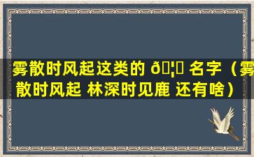 雾散时风起这类的 🦍 名字（雾散时风起 林深时见鹿 还有啥）